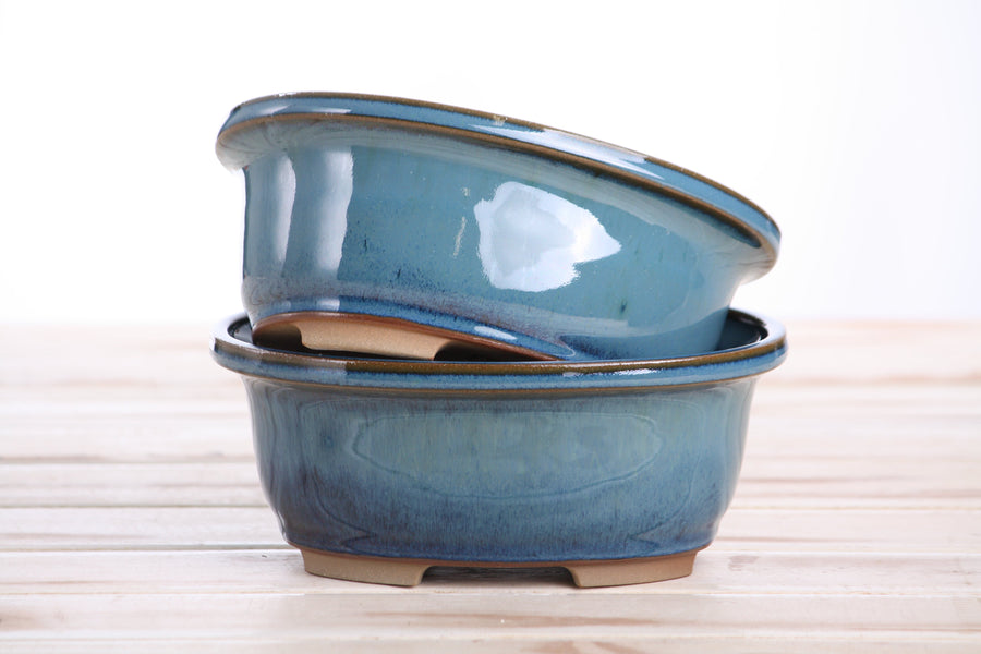 6.5-Inch Fat Oval Bonsai Pot - Peacock 2025