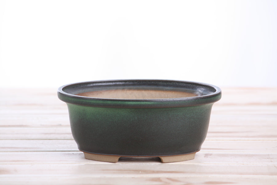 6.5-Inch Fat Oval Bonsai Pot - Avocado