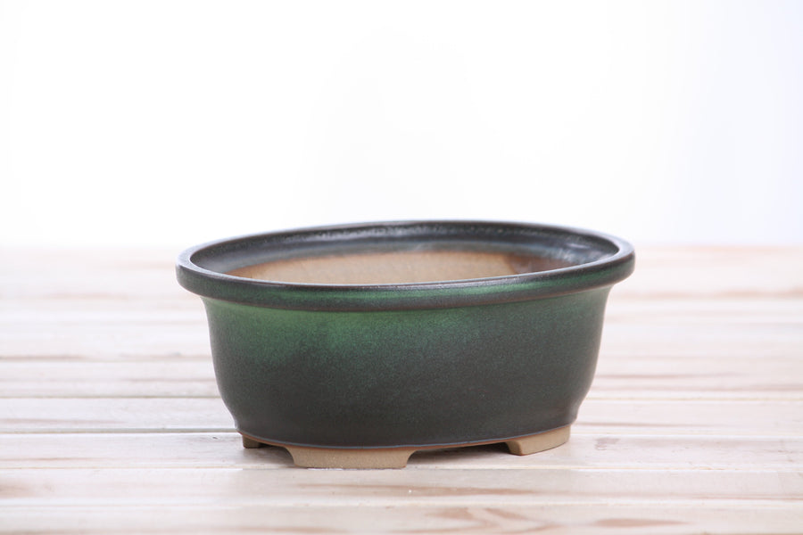 6.5-Inch Fat Oval Bonsai Pot - Avocado