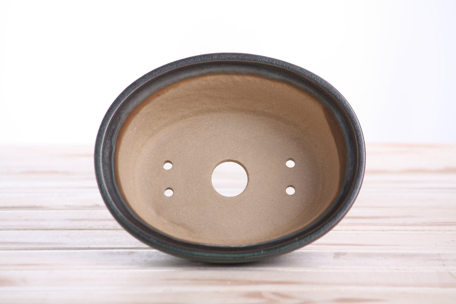 6.5-Inch Fat Oval Bonsai Pot - Avocado