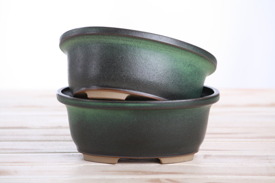 6.5-Inch Fat Oval Bonsai Pot - Avocado