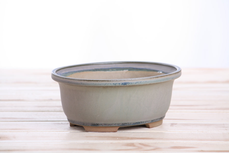6.5-Inch Fat Oval Bonsai Pot - Ocean
