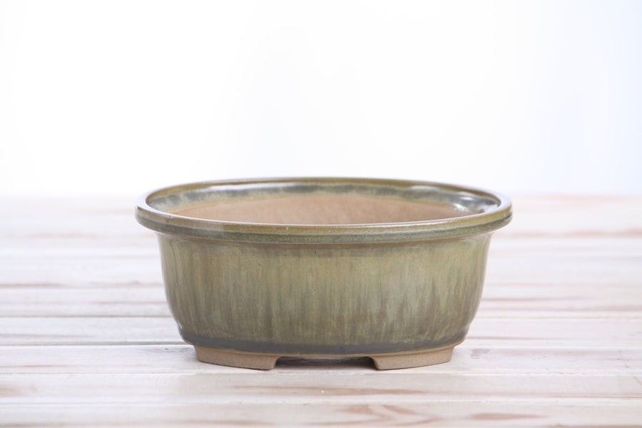 6.5-Inch Fat Oval Bonsai Pot - Copenhagen