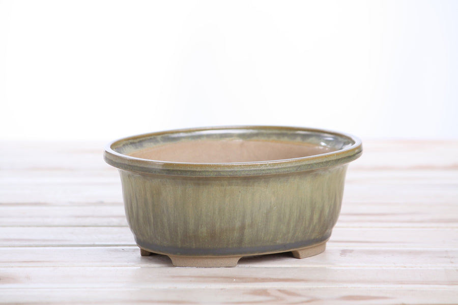 6.5-Inch Fat Oval Bonsai Pot - Copenhagen