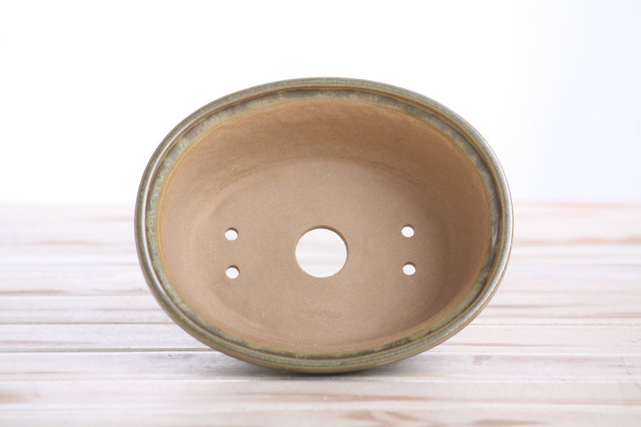 6.5-Inch Fat Oval Bonsai Pot - Copenhagen