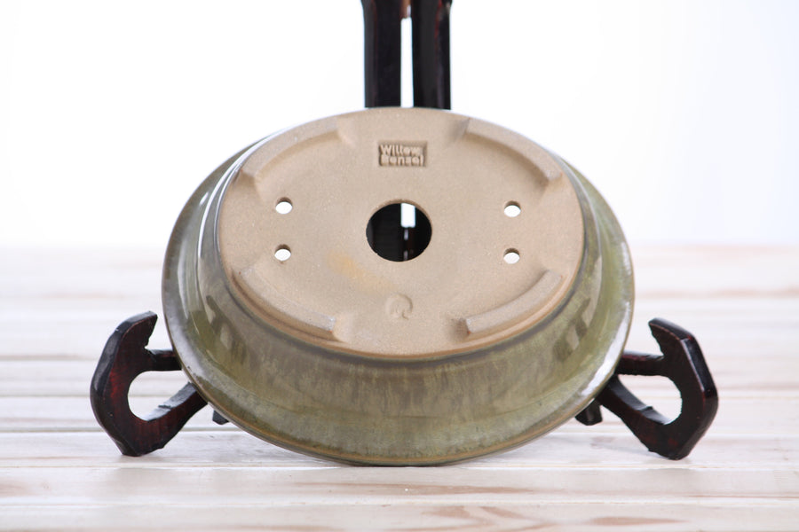 6.5-Inch Fat Oval Bonsai Pot - Copenhagen