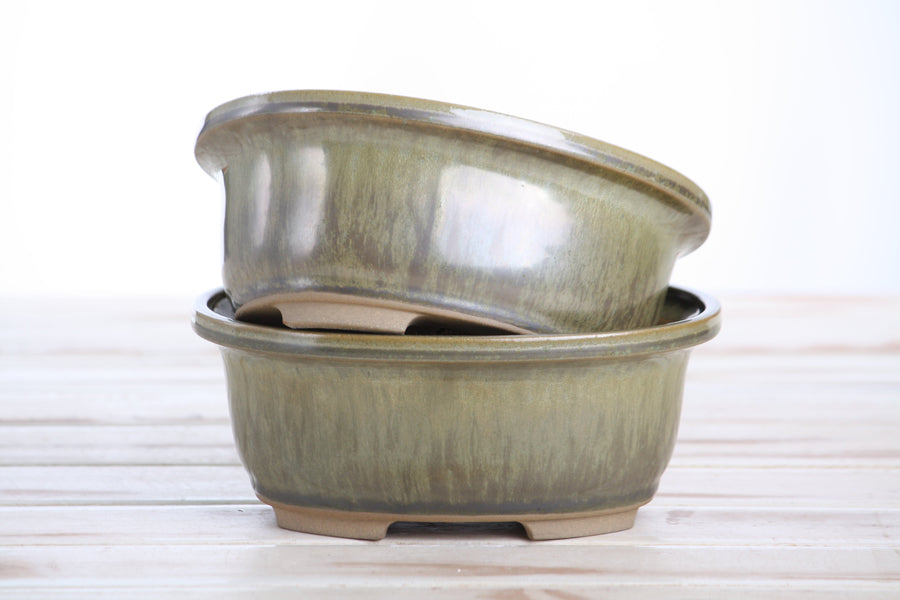 6.5-Inch Fat Oval Bonsai Pot - Copenhagen