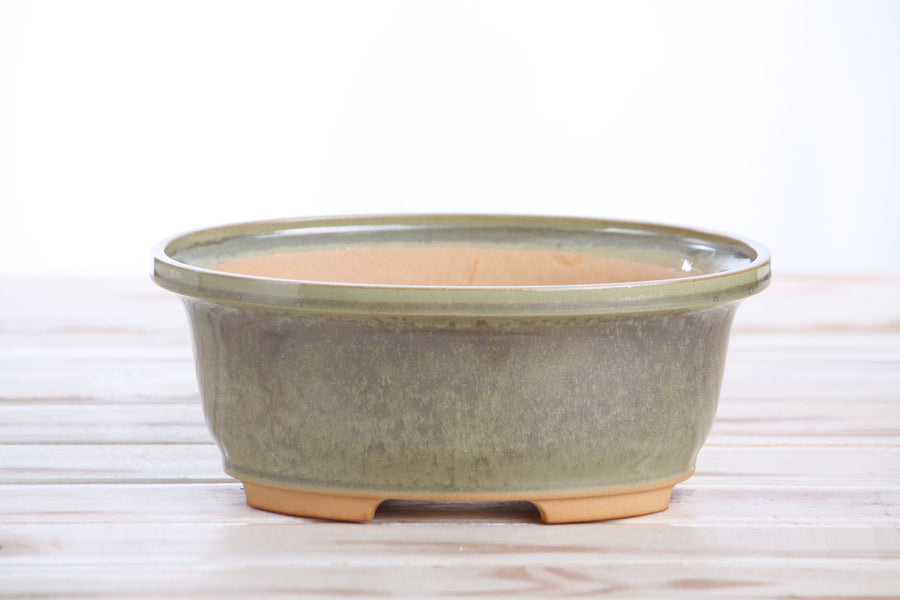 7.5-Inch Fat Oval Bonsai Pot - Copenhagen