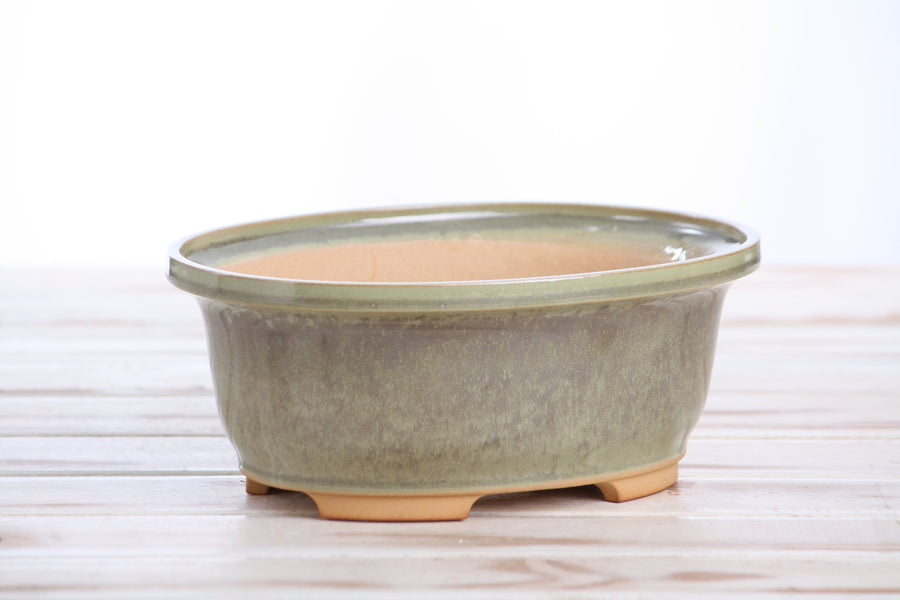 7.5-Inch Fat Oval Bonsai Pot - Copenhagen