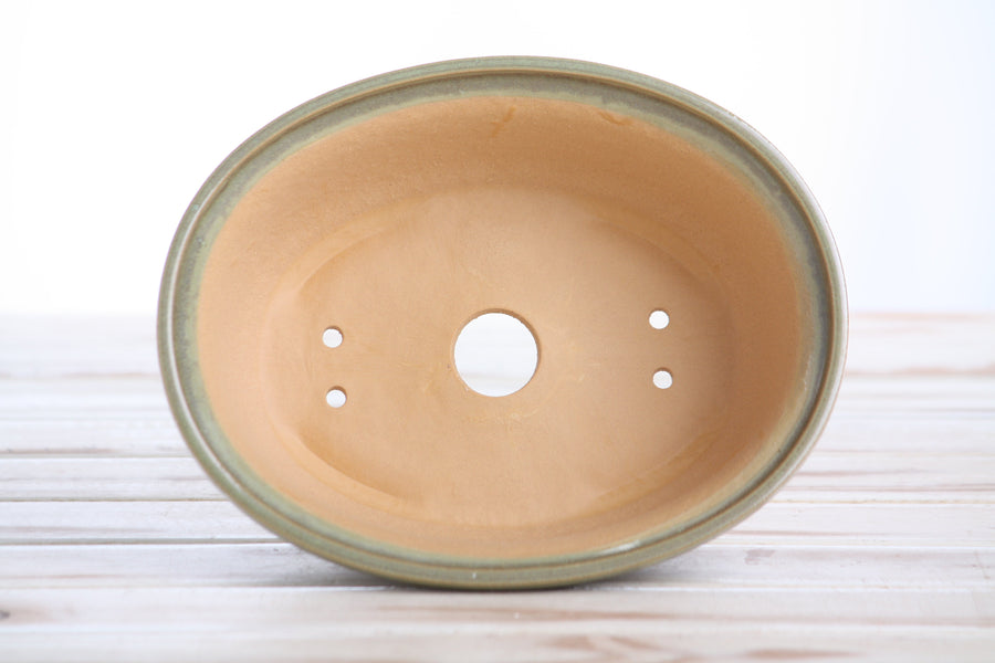 7.5-Inch Fat Oval Bonsai Pot - Copenhagen