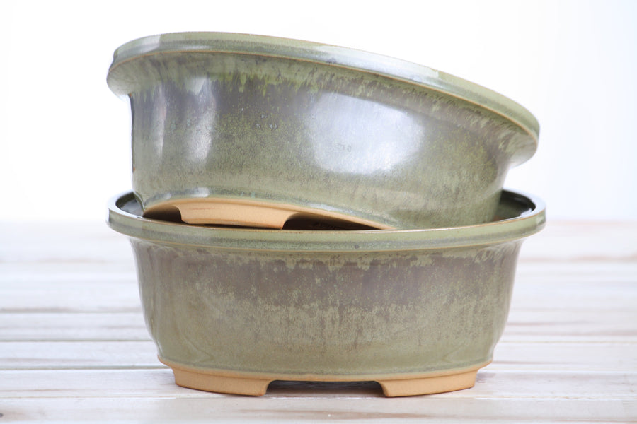 7.5-Inch Fat Oval Bonsai Pot - Copenhagen