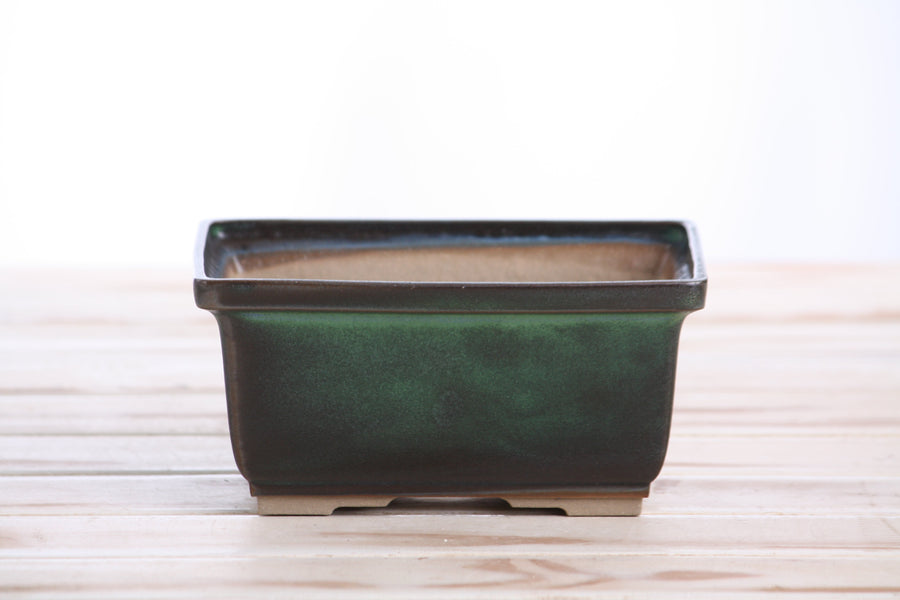 6-Inch Rectangle Deep Bonsai Pot - Avocado