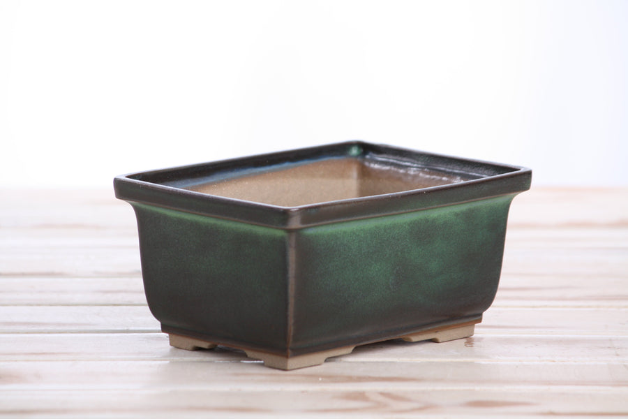 6-Inch Rectangle Deep Bonsai Pot - Avocado