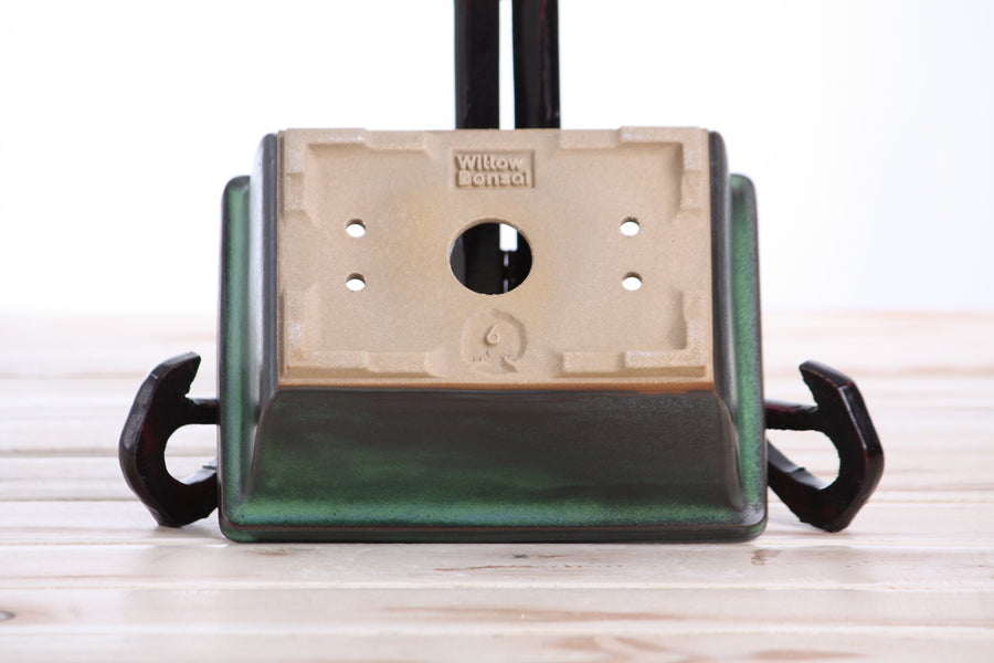 6-Inch Rectangle Deep Bonsai Pot - Avocado