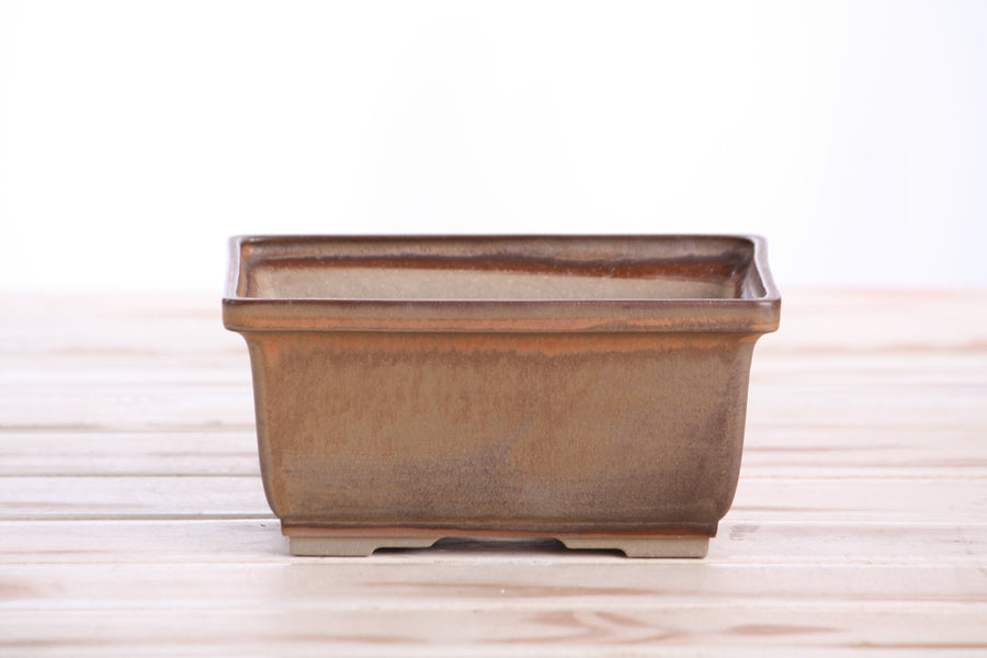 6-Inch Rectangle Deep Bonsai Pot - Deep Stone