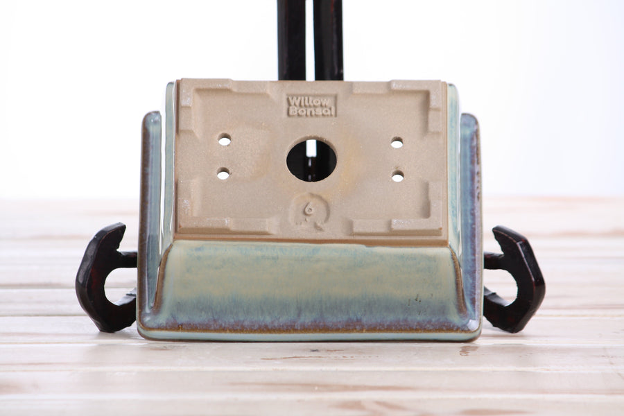 6-Inch Rectangle Deep Bonsai Pot - Glacier