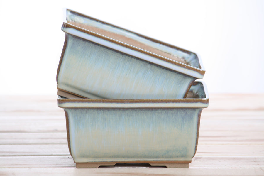 6-Inch Rectangle Deep Bonsai Pot - Glacier