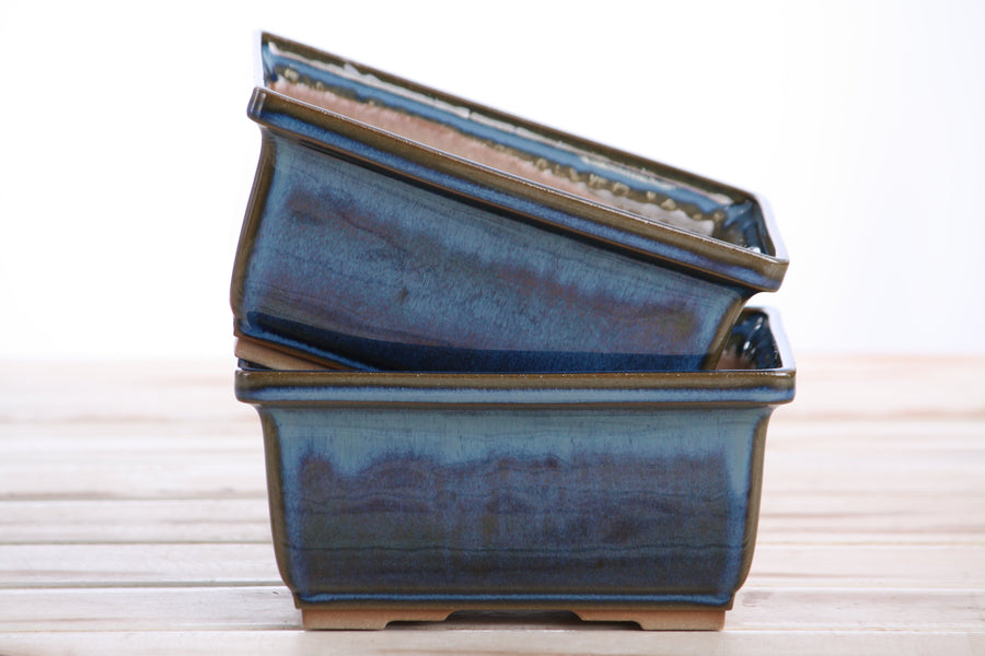 6-Inch Rectangle Deep Bonsai Pot - Peacock 2025