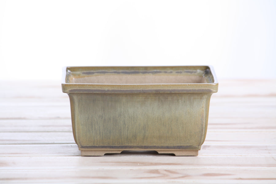 6-Inch Rectangle Deep Bonsai Pot - Copenhagen