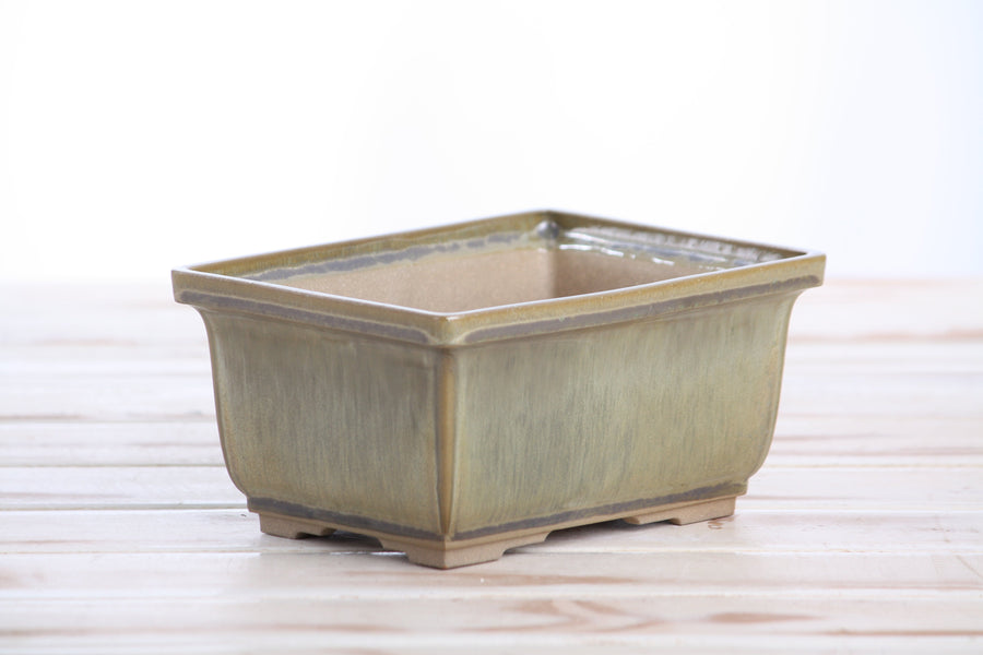 6-Inch Rectangle Deep Bonsai Pot - Copenhagen