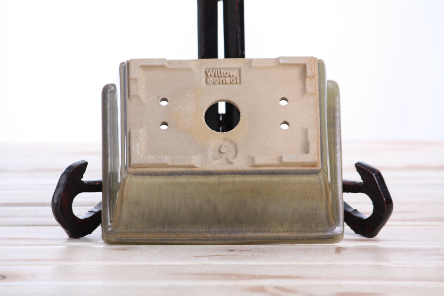 6-Inch Rectangle Deep Bonsai Pot - Copenhagen