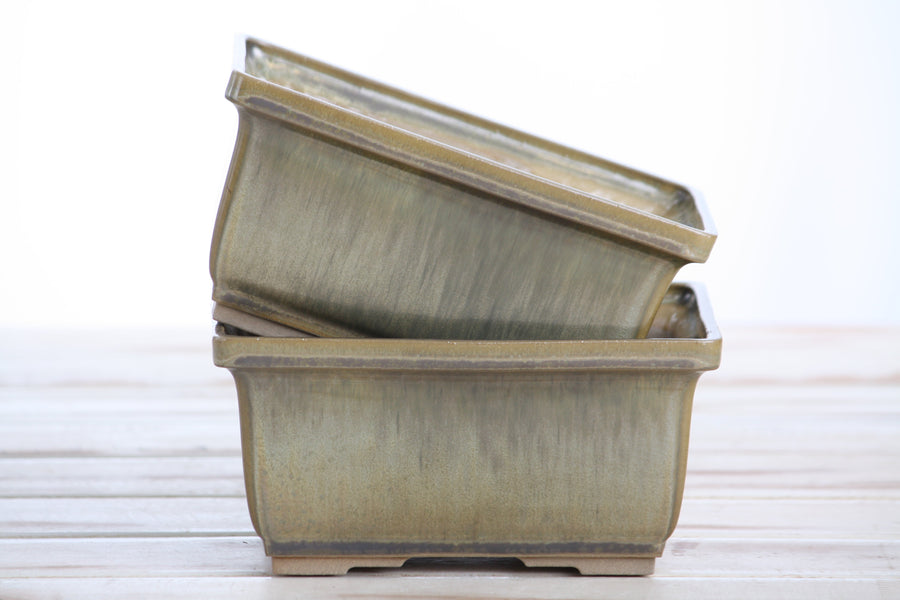 6-Inch Rectangle Deep Bonsai Pot - Copenhagen