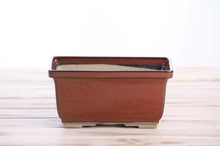 6-Inch Rectangle Deep Bonsai Pot - Sunset