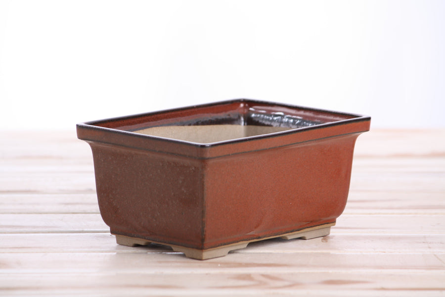 6-Inch Rectangle Deep Bonsai Pot - Sunset
