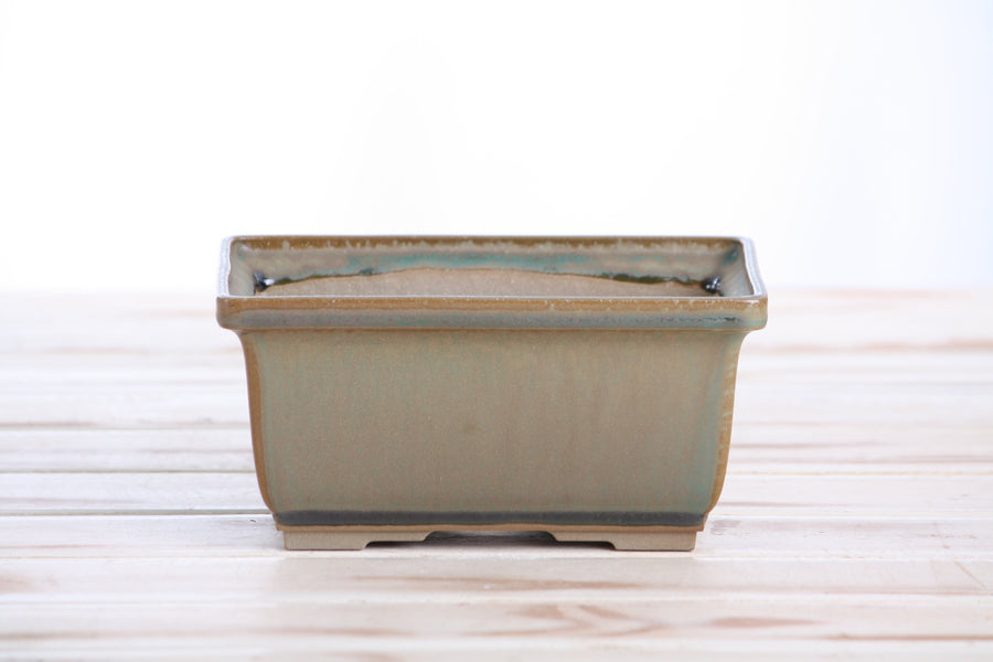6-Inch Rectangle Deep Bonsai Pot - Speckled Moss