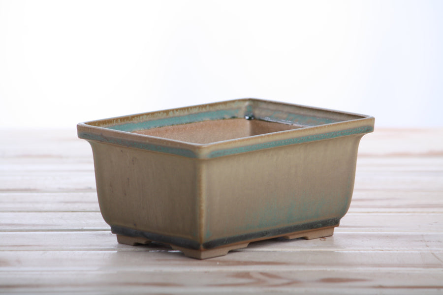 6-Inch Rectangle Deep Bonsai Pot - Speckled Moss