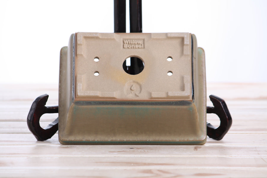 6-Inch Rectangle Deep Bonsai Pot - Speckled Moss