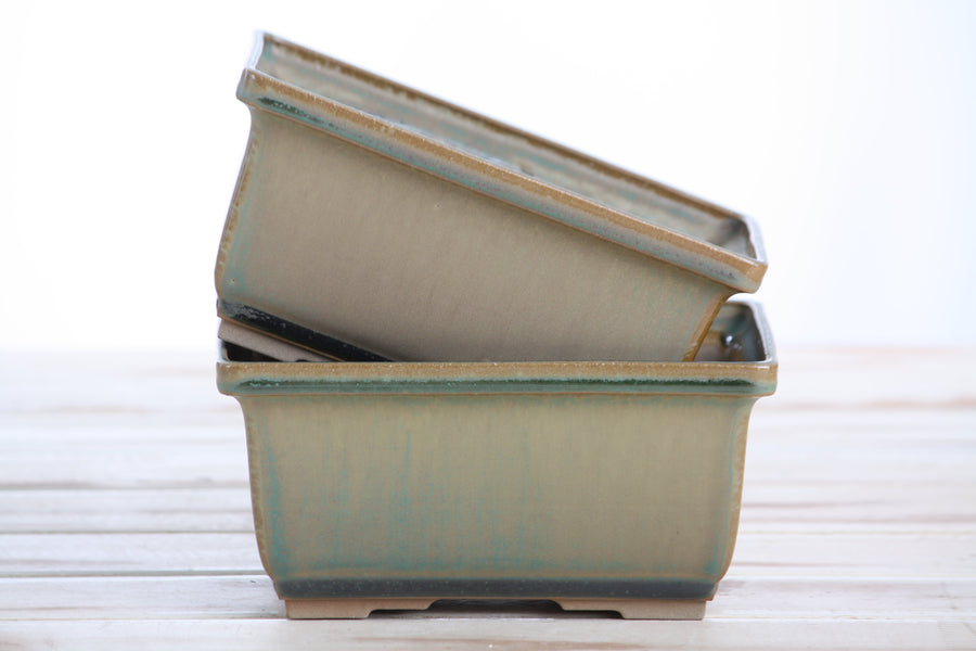 6-Inch Rectangle Deep Bonsai Pot - Speckled Moss