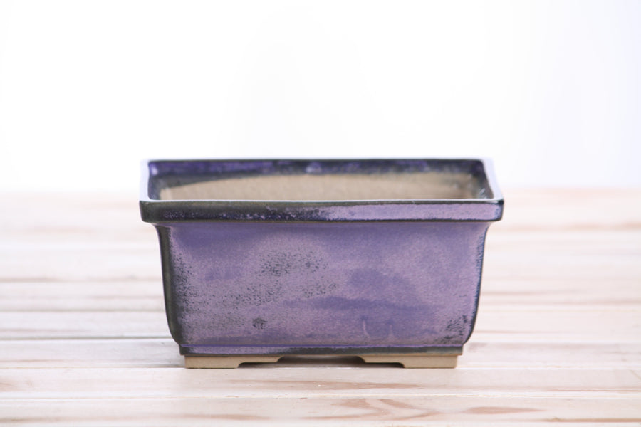 6-Inch Rectangle Deep Bonsai Pot - Purple