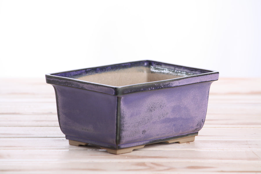 6-Inch Rectangle Deep Bonsai Pot - Purple