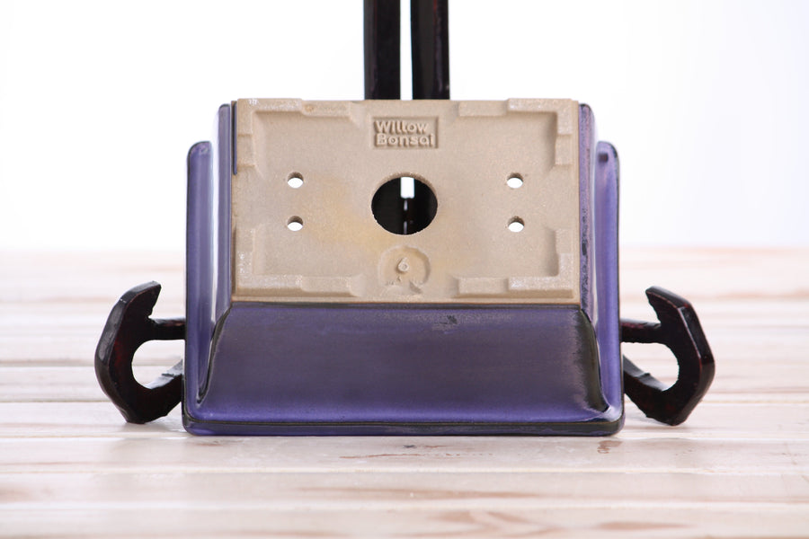 6-Inch Rectangle Deep Bonsai Pot - Purple