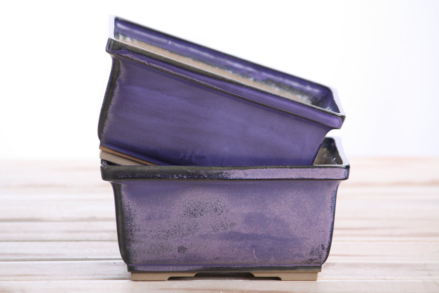 6-Inch Rectangle Deep Bonsai Pot - Purple