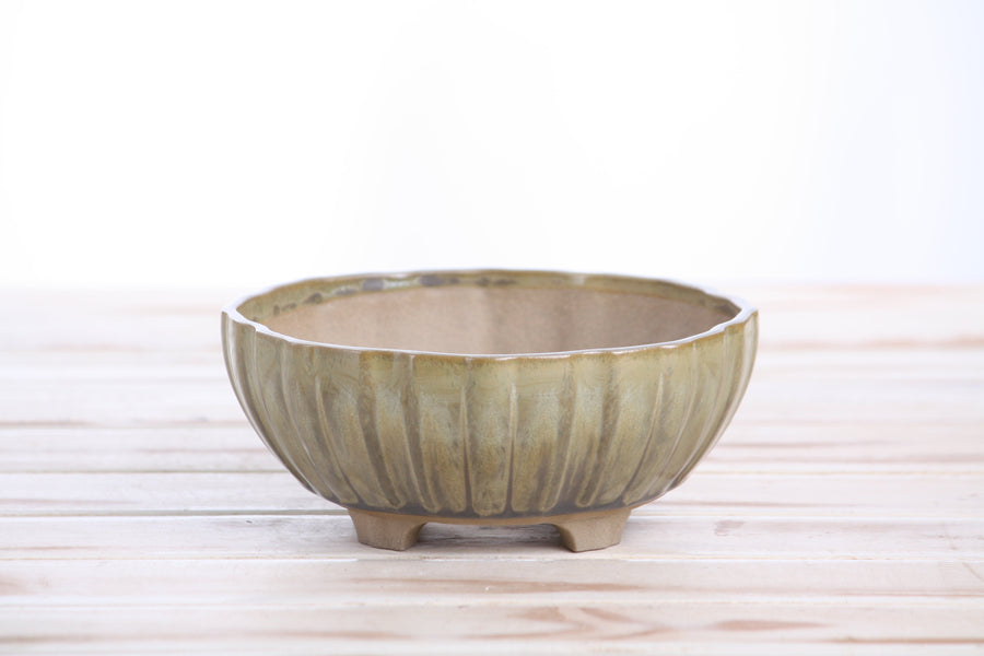 6-Inch Lily Bonsai Pot - Copenhagen