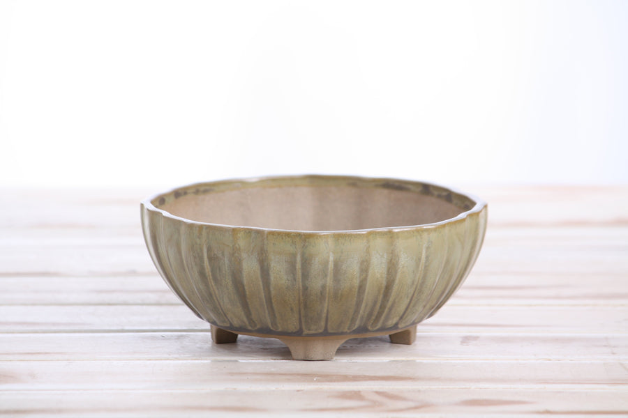 6-Inch Lily Bonsai Pot - Copenhagen