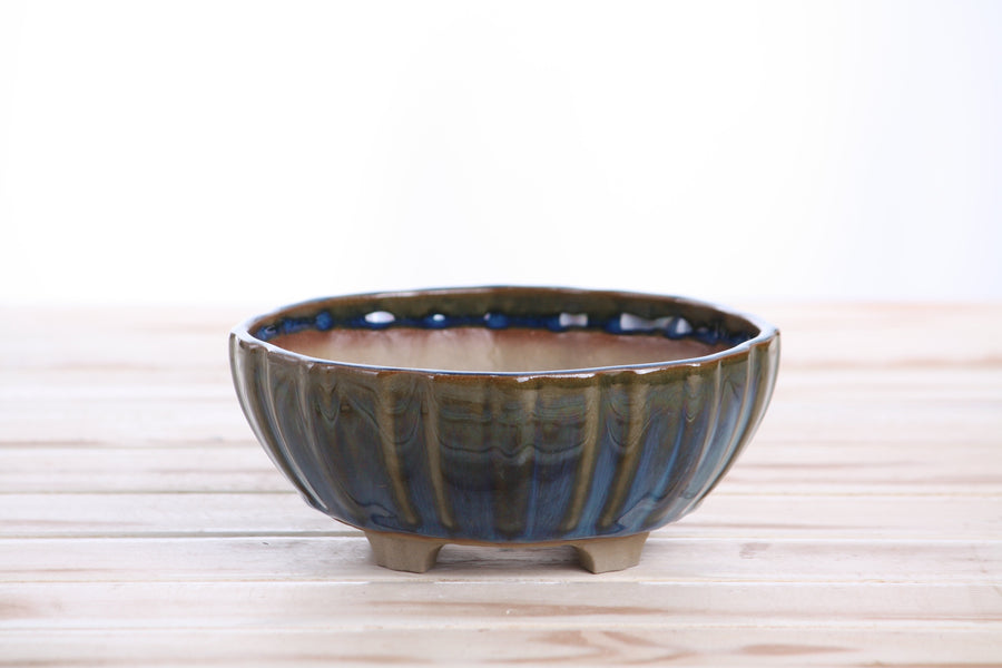 6-Inch Lily Bonsai Pot - Peacock 2025