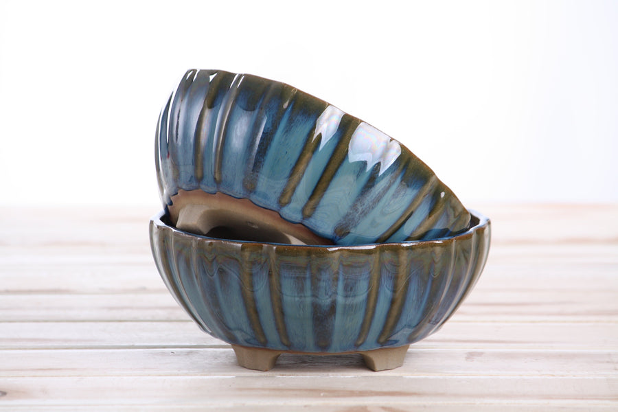 6-Inch Lily Bonsai Pot - Peacock 2025