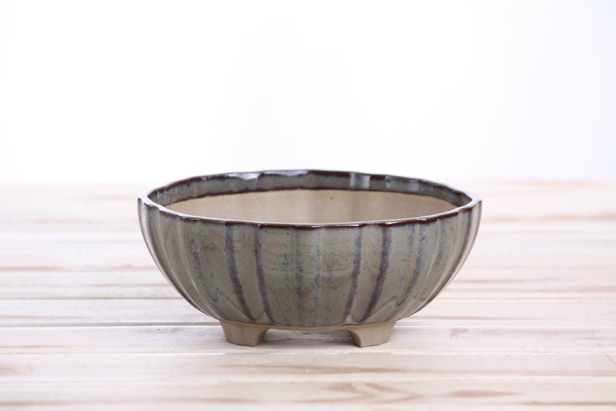 6-Inch Lily Bonsai Pot - Starry Night
