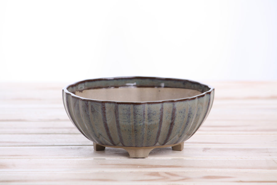 6-Inch Lily Bonsai Pot - Starry Night