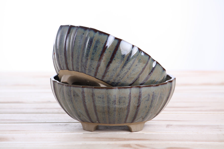 6-Inch Lily Bonsai Pot - Starry Night