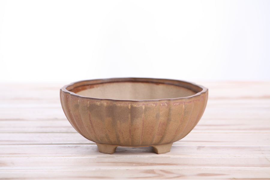 6-Inch Lily Bonsai Pot - Deep Stone