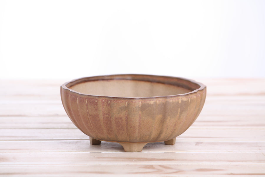 6-Inch Lily Bonsai Pot - Deep Stone