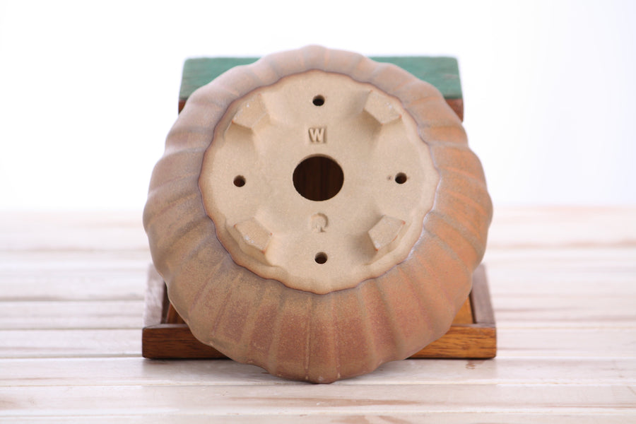 6-Inch Lily Bonsai Pot - Deep Stone