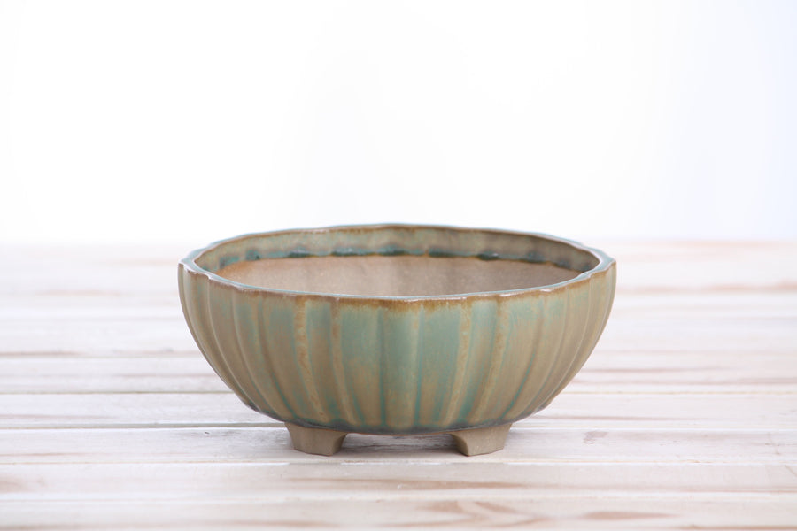 6-Inch Lily Bonsai Pot - Speckled Moss
