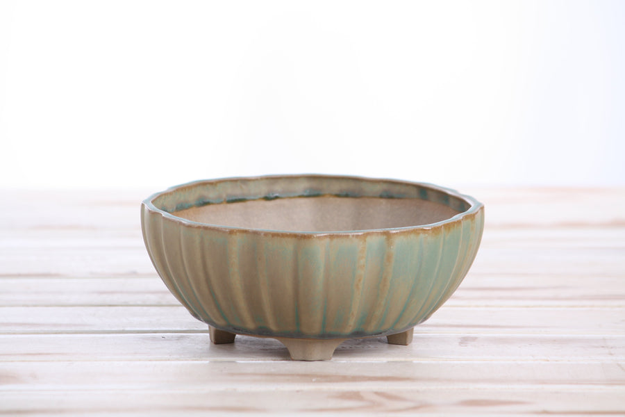 6-Inch Lily Bonsai Pot - Speckled Moss