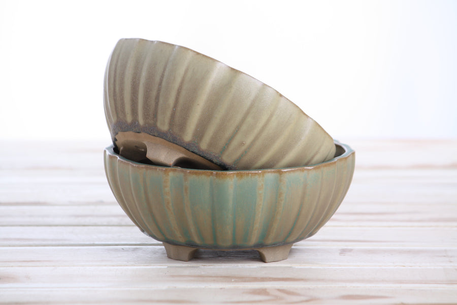 6-Inch Lily Bonsai Pot - Speckled Moss