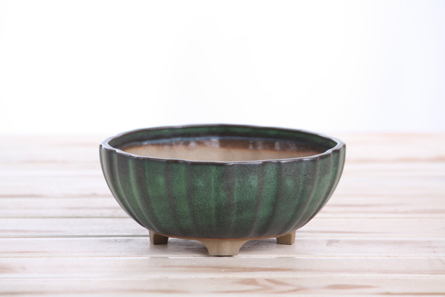 6-Inch Lily Bonsai Pot - Avocado